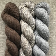 Load image into Gallery viewer, Barn Owl - 3-Color Kit