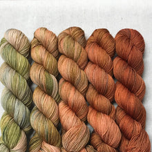 Load image into Gallery viewer, Framed - Sample Kits