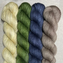 Load image into Gallery viewer, Cover - Twenty Four Birds