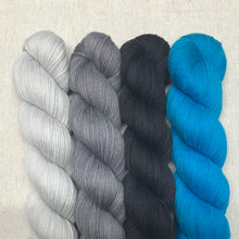 Load image into Gallery viewer, Blue Jay - Twenty Four Birds