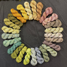 Load image into Gallery viewer, Milton - Sample Kits