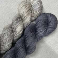 Load image into Gallery viewer, Barn Owl - 2-Color Kit