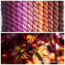 Load image into Gallery viewer, 12/1 Cheers - Mini Skein Kits