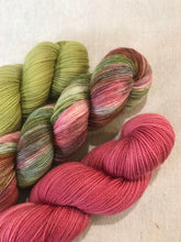 Load image into Gallery viewer, Rhubarb Pie - 3-Color Kit
