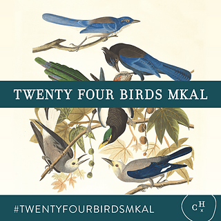Cover - Twenty Four Birds